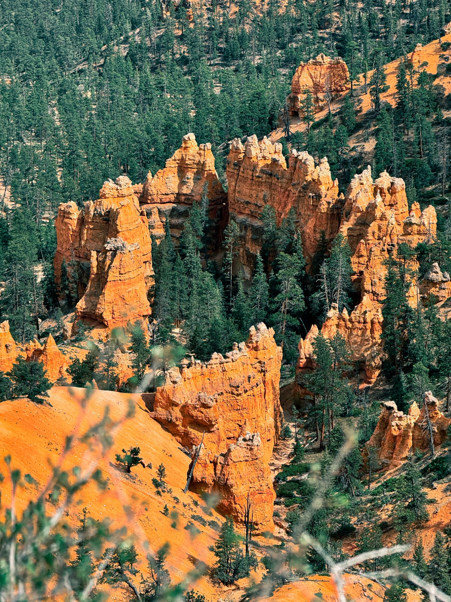 Bryce Canyon National Park