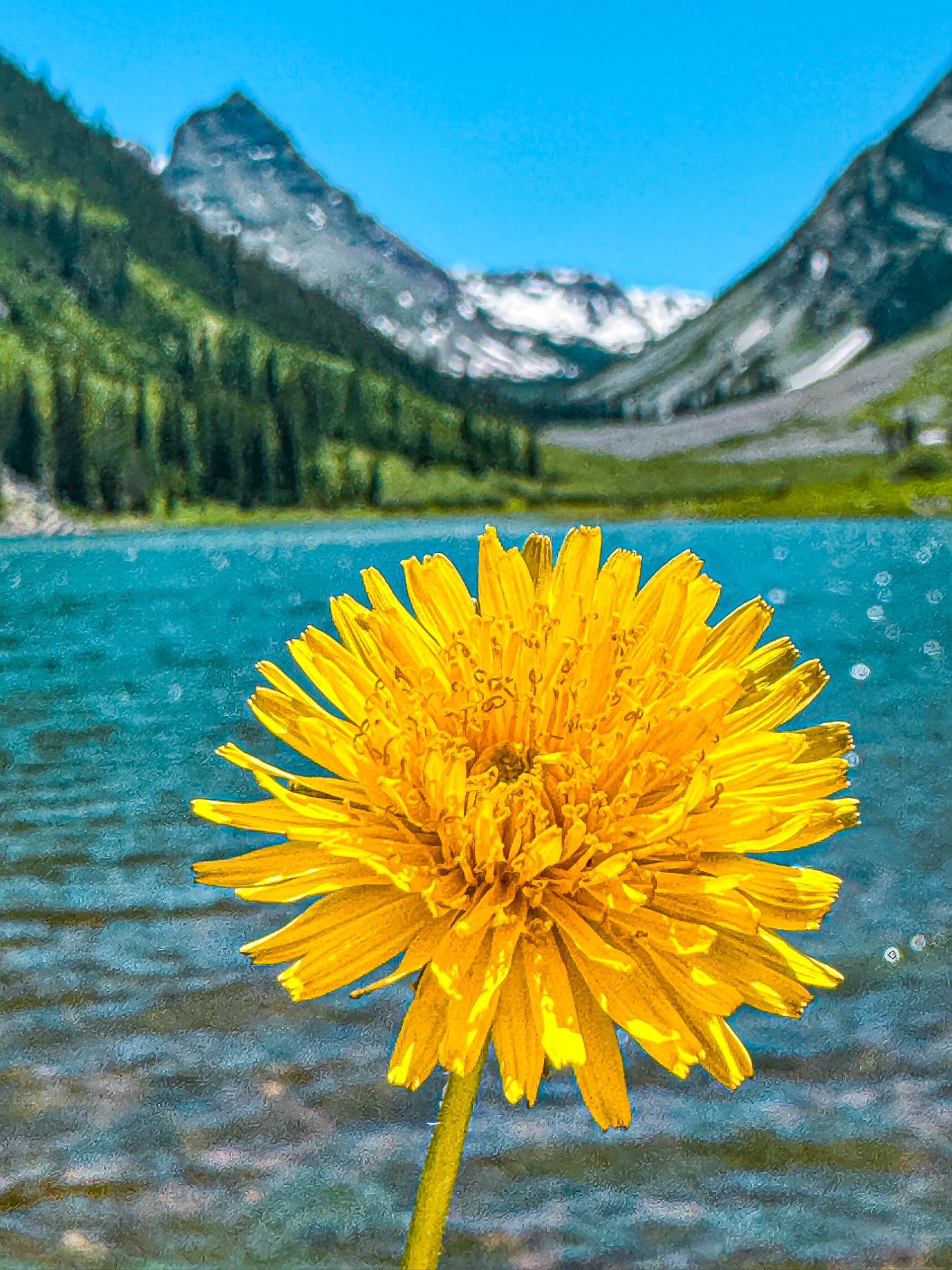 Maroon Bells, Aspen Colorado